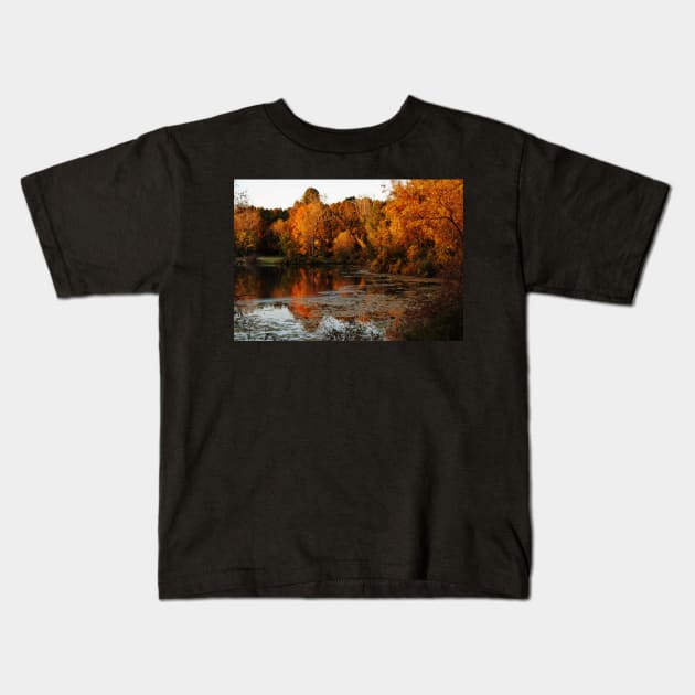 Fall Trees Lake Landscape Kids T-Shirt by 1Redbublppasswo